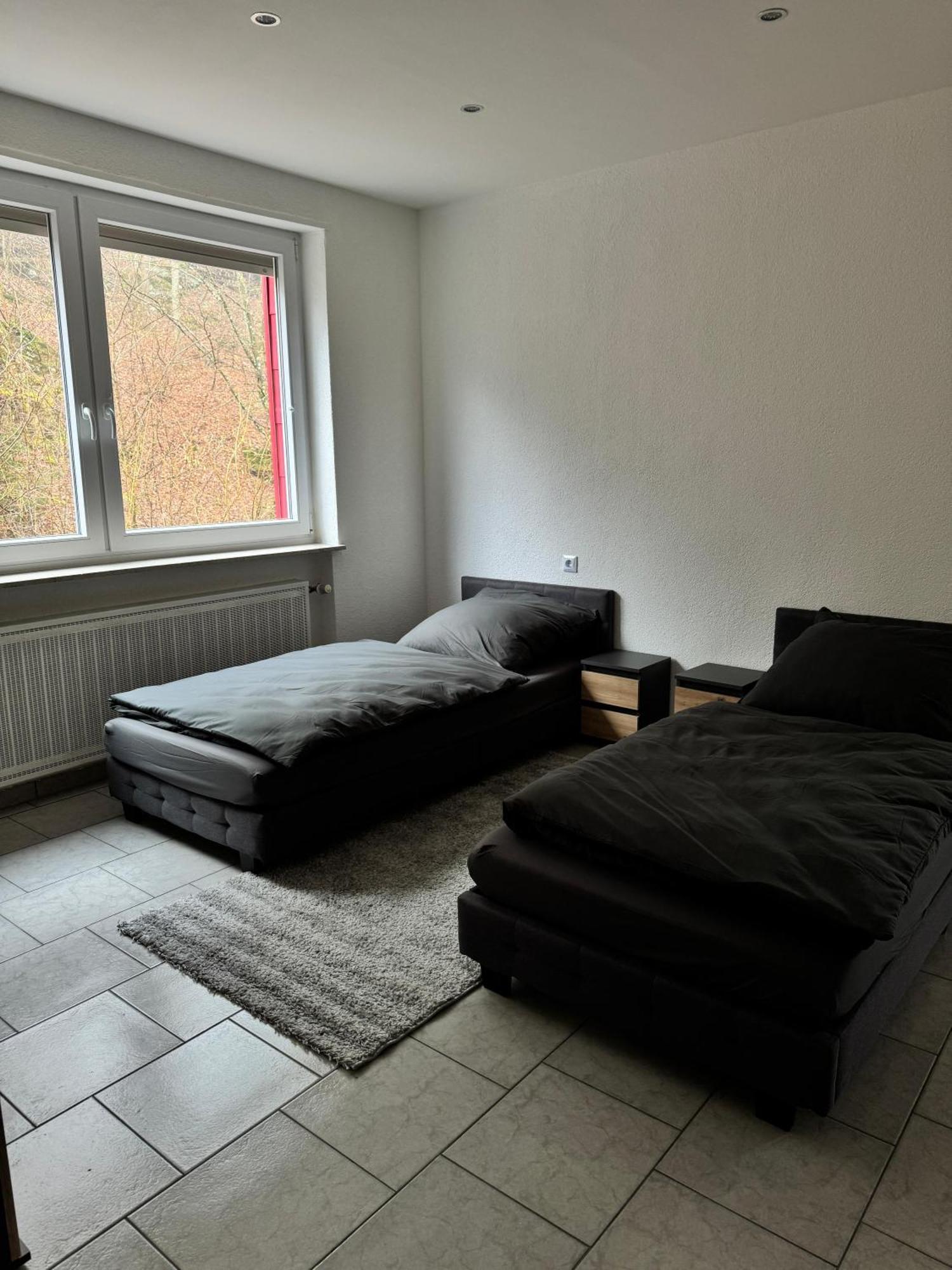 Afl House Apartment Pirmasens Exterior photo